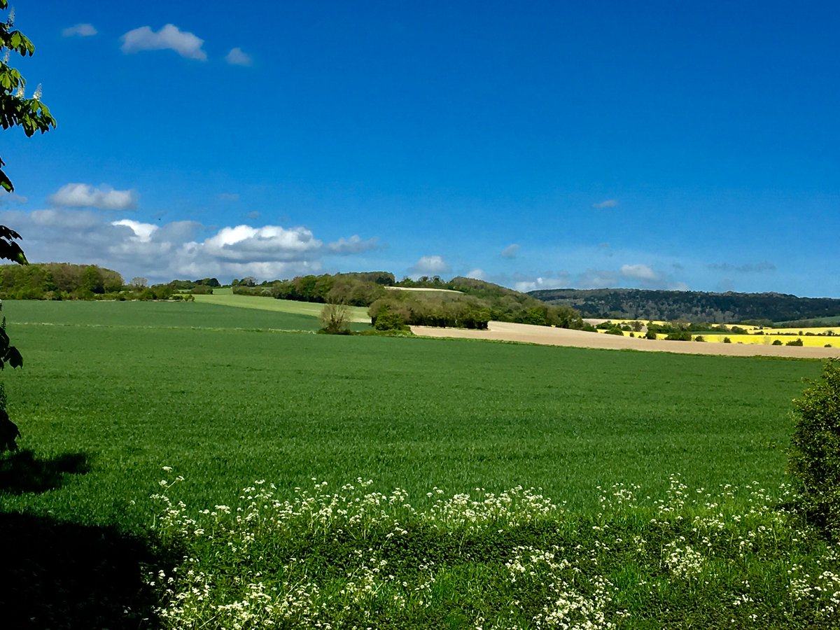 Oh, what a beautiful morning..!! <a href="/Discover_Chi/">Visit Chichester</a> <a href="/VSussex/">Visit Sussex</a> #sdnp #chichester