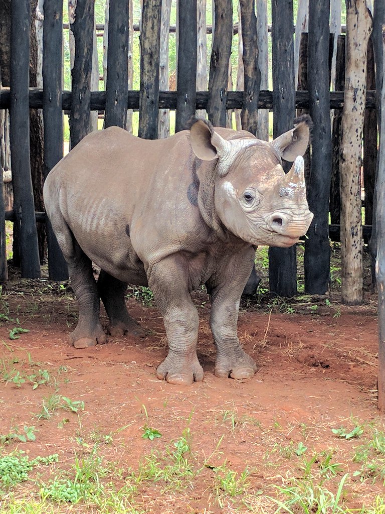 View image on Twitter