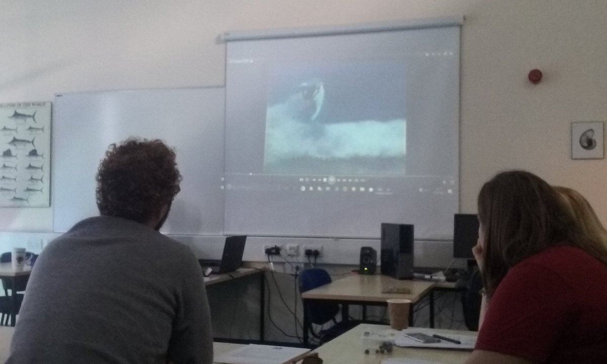 stevebowens1's tweet image. Surf judging course with #surfscience #fdscsurfingscience #surfjudging