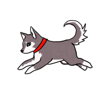 シベリアンハスキー犬のtwitterイラスト検索結果 古い順 シベリアンハスキー犬のtwitterイラスト検索結果 古い順