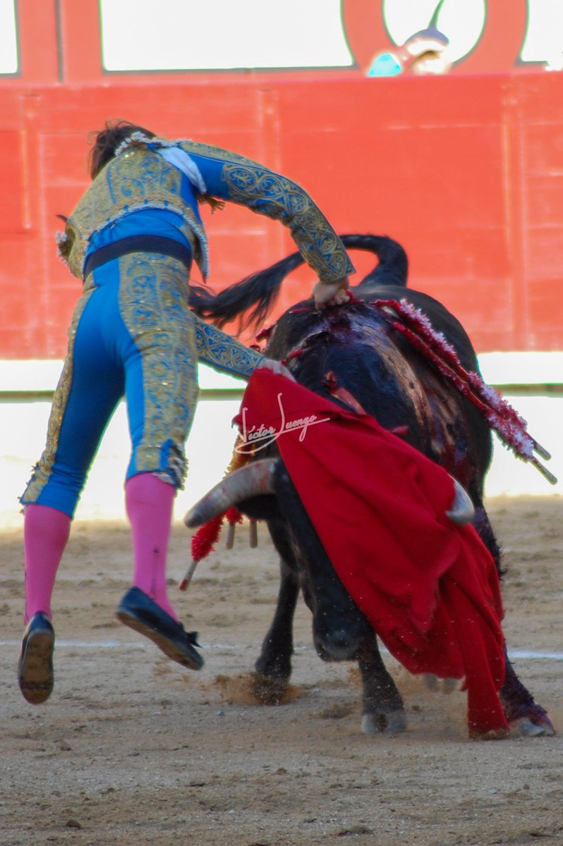 <a href="/JavierMarinIgea/">Javier Igea Marín</a> ayer en Las Ventas. Galería: elbelloartedeltoreo.blogspot.com.es/2017/05/01-05-…