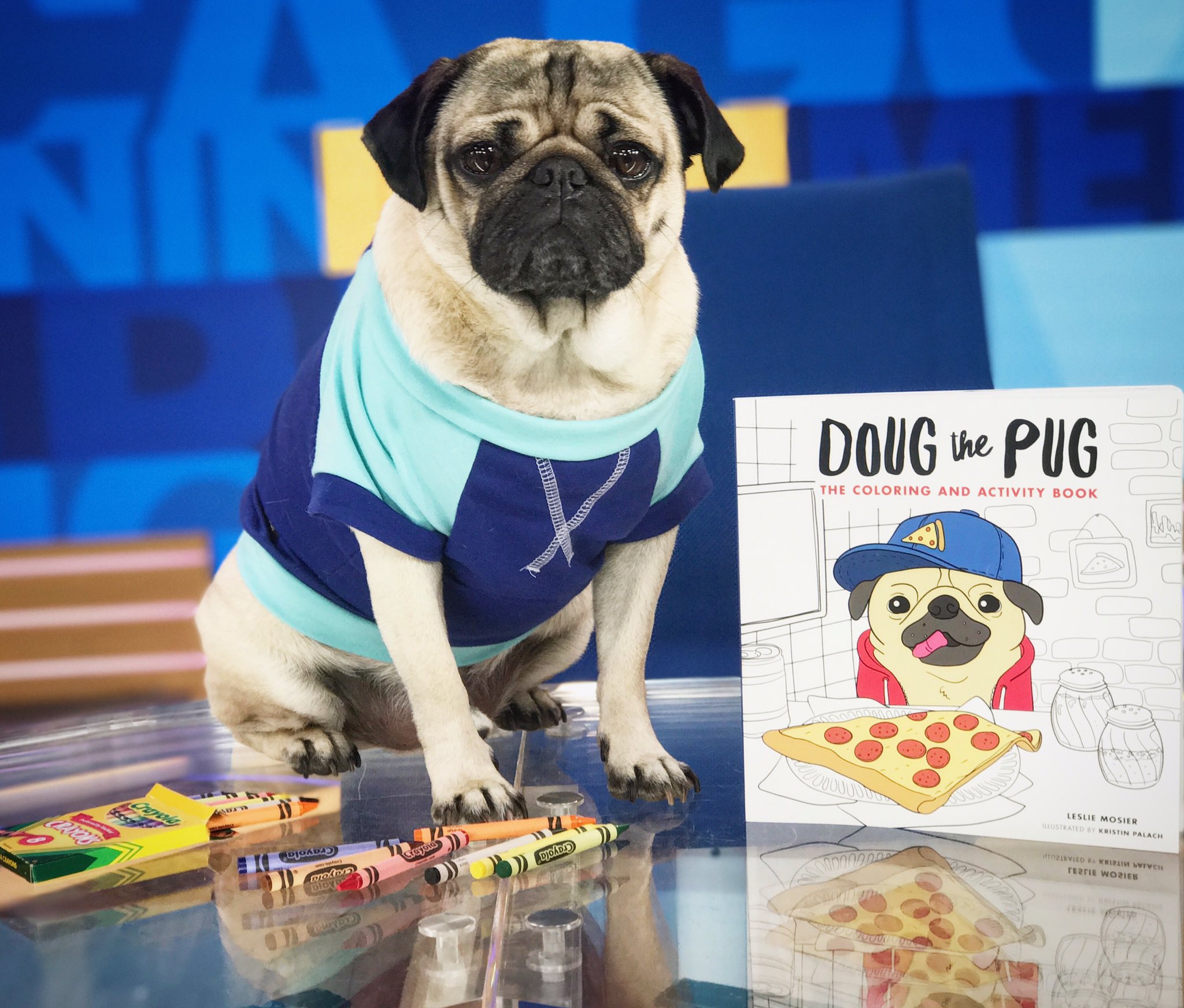 Good Morning America On Twitter Congrats Itsdougthepug Your Coloring Book Out This Thanks For Stopping By Times Square