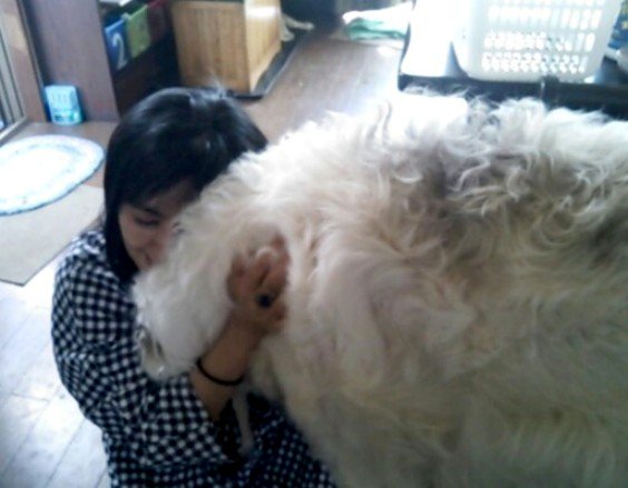 توییتر Mitsuko Komuro 小室みつ子 در توییتر もう3 4年前の写真だけど 友達が飼っていたロシアの大型犬 犬種の 名前忘れた 細くて大きくて仔馬のよう とても人懐こい 以前に飼い主さんが買い物している間に待っているワンコを抱きしめる話したけど توییتر Mitsuko Komuro 小室みつ子 در توییتر もう3 4年前の写真だけど 友達が飼っていたロシアの大型犬 犬種の 名前忘れた 細くて大きくて仔馬のよう とても人懐こい 以前に飼い主さんが買い物している間に待っているワンコを抱きしめる話したけど