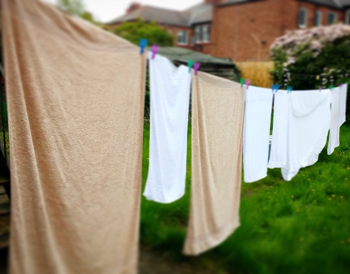 The reality of a half day off. Haway sunshine, help a lass out! #washingday #massagetherapist #heaton #newcastle