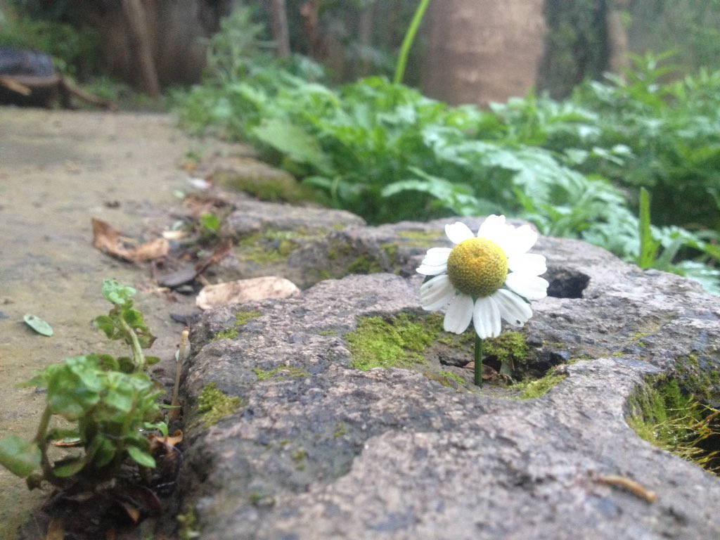 #مسابقة_اكتفي_اجمل_صوره
تبسَّم .. 
فجمالَ وجهك لم يُخلق للعبوس !
#تصويري
{♡(♧إمبراطور نفسي ♧)♡} 
#loool_Gp