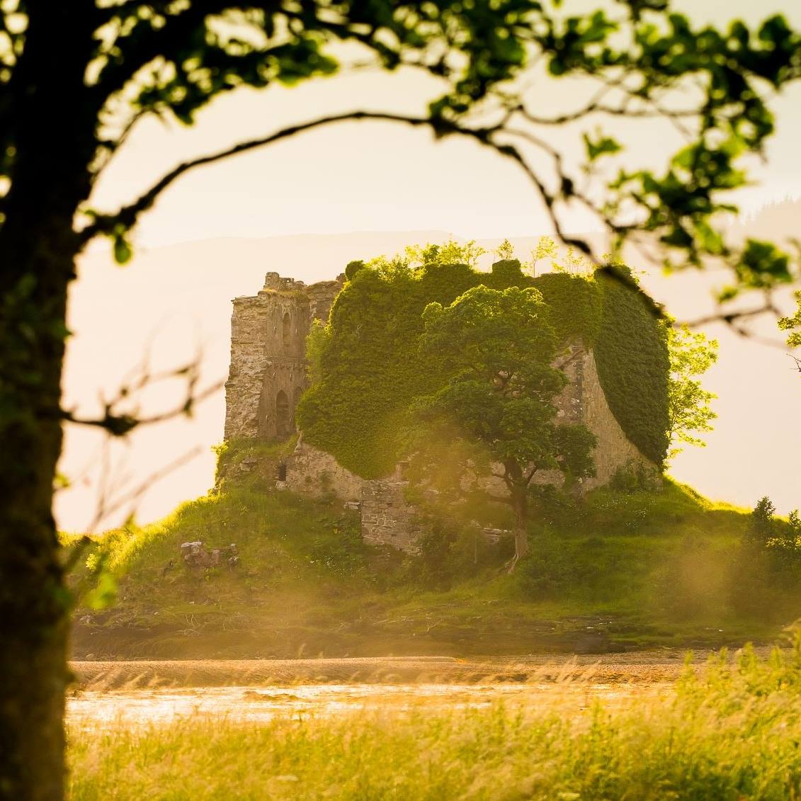What a great time of year to explore at Lachlan Bay #visitcowal #VisitScotland #walkArgyll #wildargyll #explorestrathlachlan #secretcoast