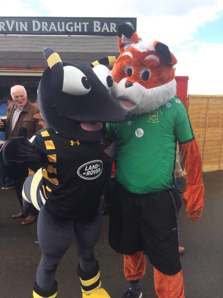 WaspsCommunity's tweet photo. Sting had an amazing time taking part in the 2017 Mascot race at Warwick Racecourse yesterday🐝💛🖤 #supersting https://t.co/c7CGUny6s6