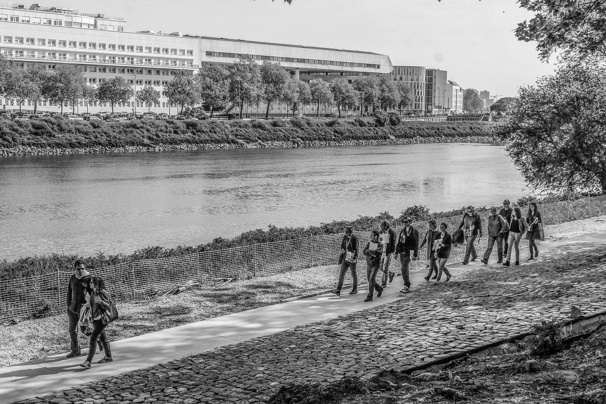 îlink association tweet media