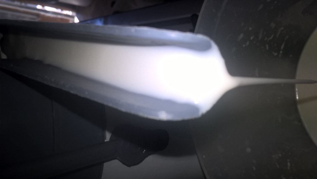 1st snowy goats'cream of year skimming off, which means 1 thing lemon tarts for <a href="/aproducemarket/">Aber Farmers Market</a> &amp; creamy coffee😋