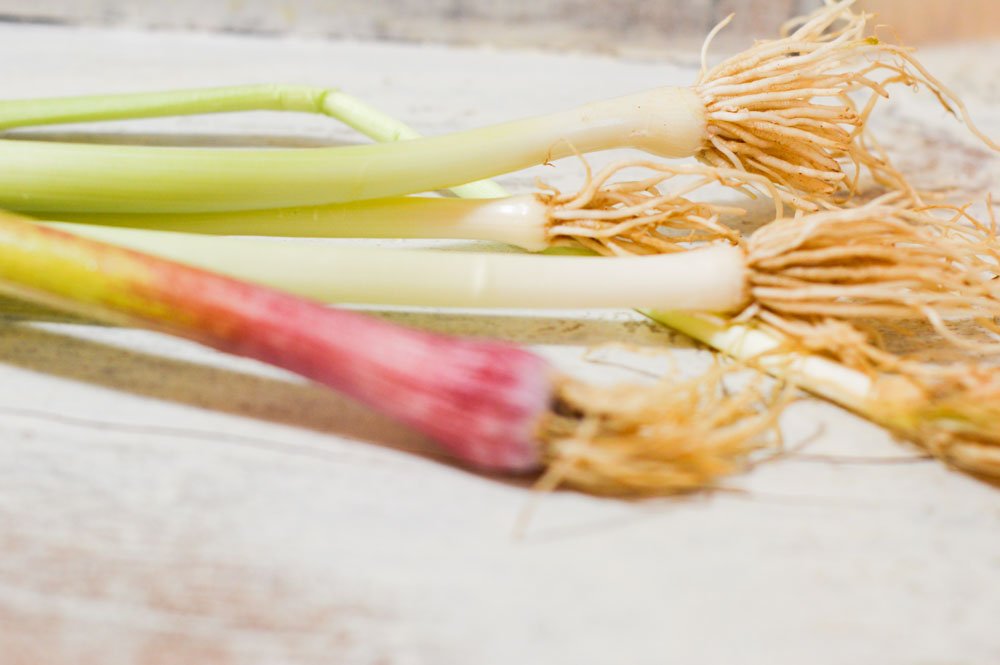 LibraryKitchen's tweet image. Fresh Produce Vibes // We &amp;lt;3 the taste of freshly picked produce.