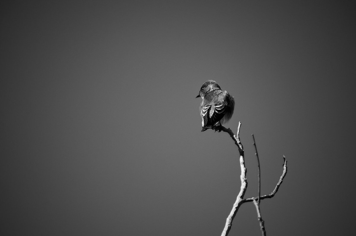 Kijof_san's tweet image. Hello! #o2SPhoto