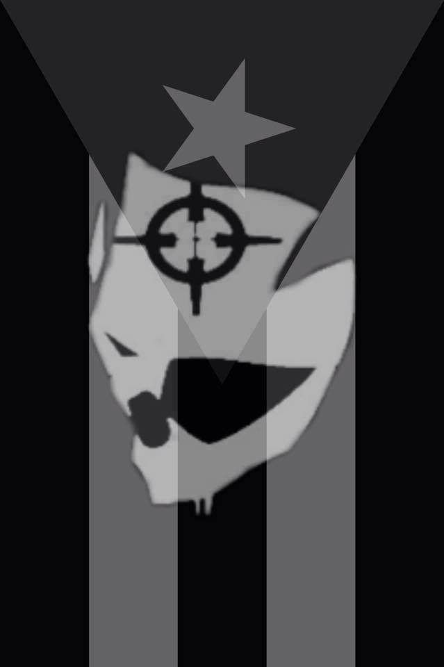 _KILLCODE_'s tweet image. Flights booked for Puerto Rico :) Looking forward to returning and spreading the :::CODE:::!! #spreadthecode