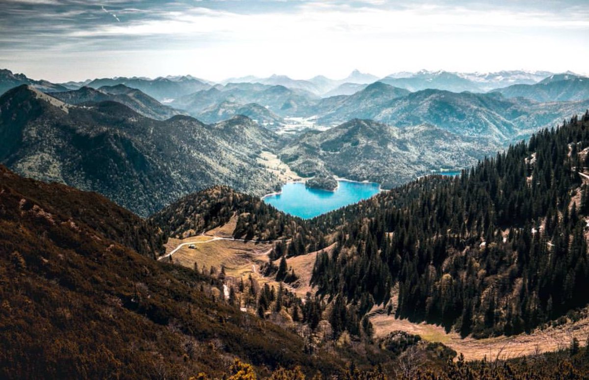 NatureOnPoint's tweet image. 