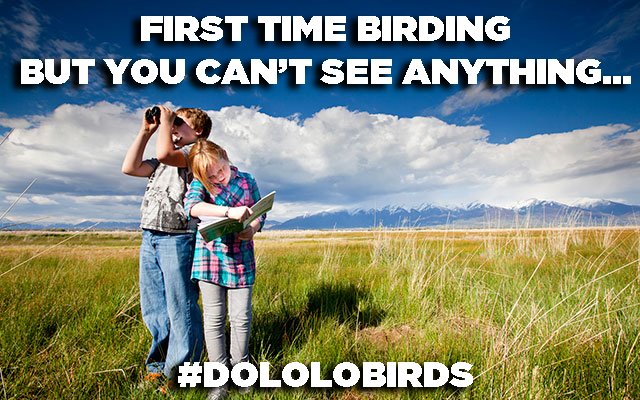 Fledge_SA's tweet image. False Bay #Birdathon are you ready?!