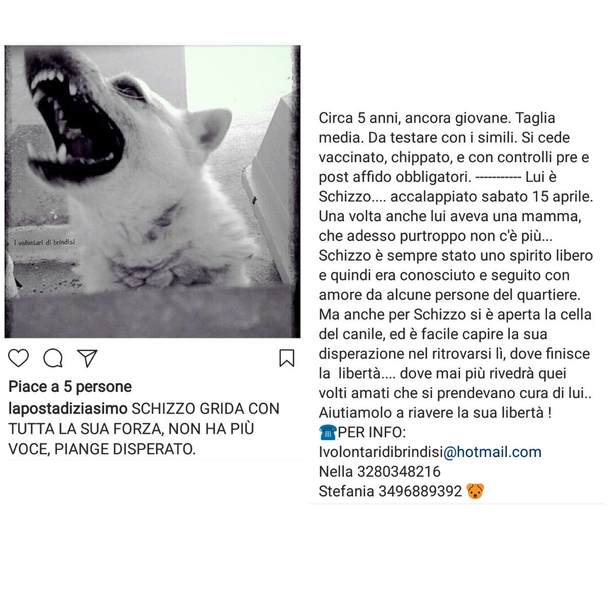 suorlela's tweet photo. https://t.co/mf1P9k6i3T