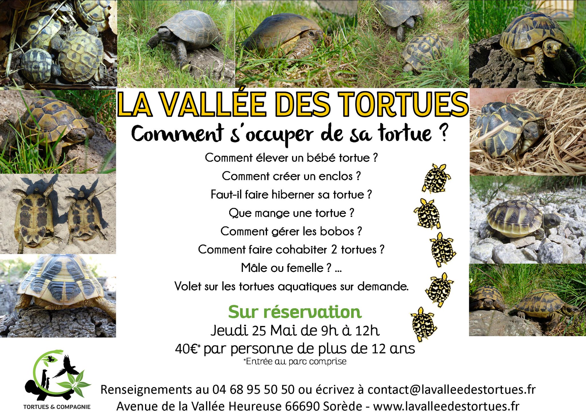 Vallee Des Tortues Comment S Occuper De Sa Tortue Vous Avez Une Tortue Ou Aimeriez En Avoir Une Nous Repondons A Toutes Vos Questions Jeudi 25 Mai T Co K9bvr5kzmz Vallee Des Tortues Comment S Occuper De Sa Tortue Vous Avez Une Tortue Ou Aimeriez En Avoir Une Nous Repondons A Toutes Vos Questions Jeudi 25 Mai T Co K9bvr5kzmz