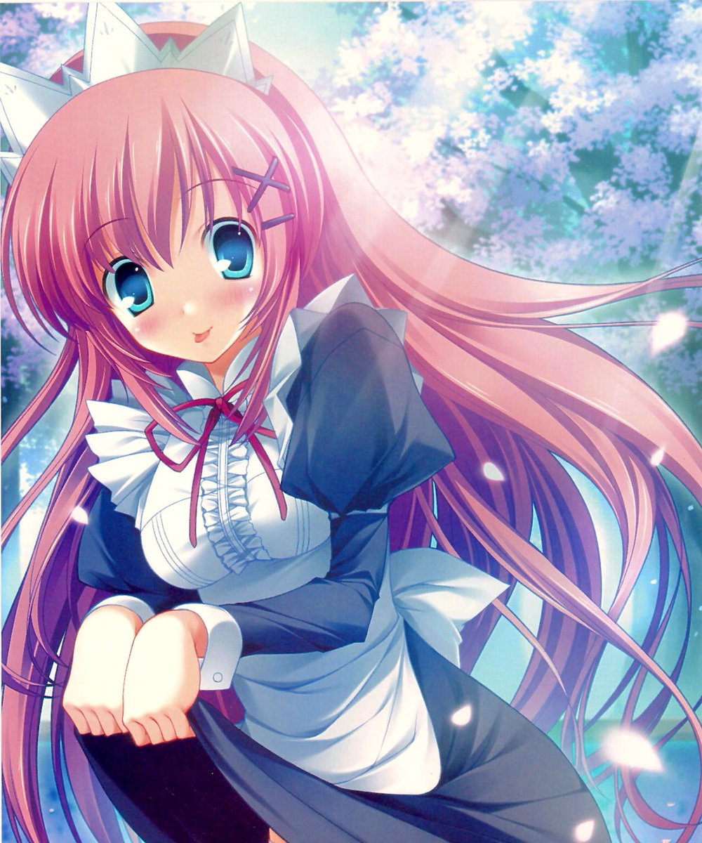 白河ななか生誕祭17 白河ななか生誕祭17