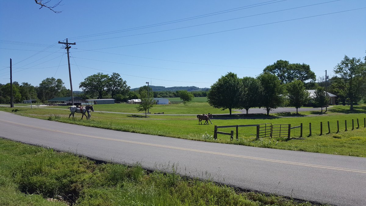 bachman_academy's tweet image. It was the perfect morning for a bit of horseback riding! 🐎 #horsebackriding #bachmanacademy #clevelandtn