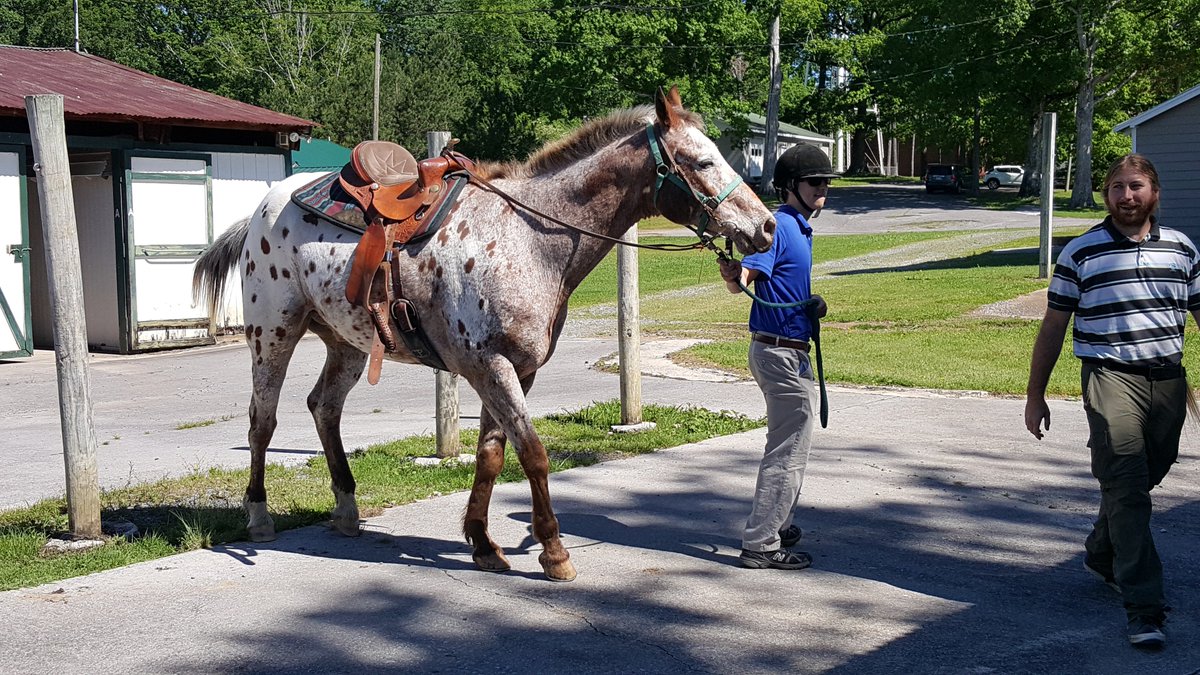 bachman_academy's tweet image. It was the perfect morning for a bit of horseback riding! 🐎 #horsebackriding #bachmanacademy #clevelandtn
