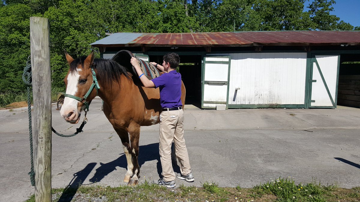 bachman_academy's tweet image. It was the perfect morning for a bit of horseback riding! 🐎 #horsebackriding #bachmanacademy #clevelandtn