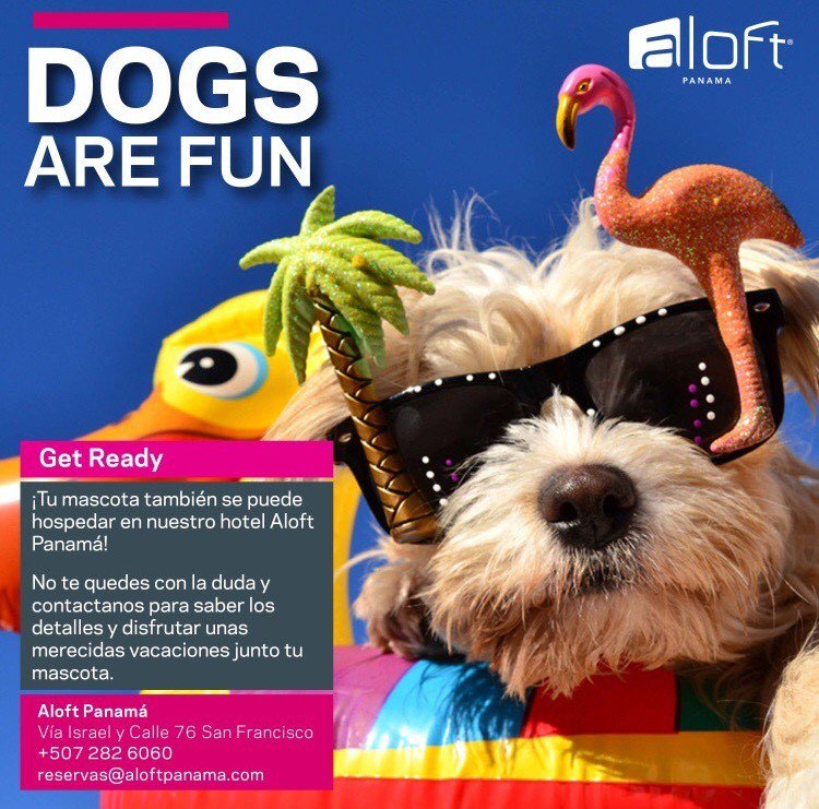 AloftPanama's tweet image. Ya lo sabias? #AloftPanama