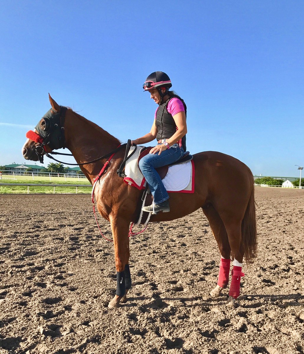 TropicalRacing tweet media