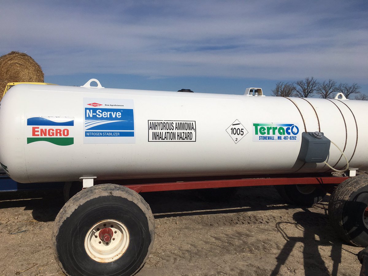 Steven Maxted 🇨🇦 tweet media