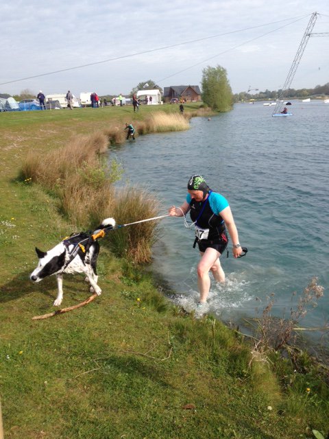 ironmatemark's tweet photo. @kaaty_n You need to put the #TriDog #Triathlon in your calendar for October @BoxEndPark #TriDogUK #TriathlonForDogs https://t.co/wNKsNixqml