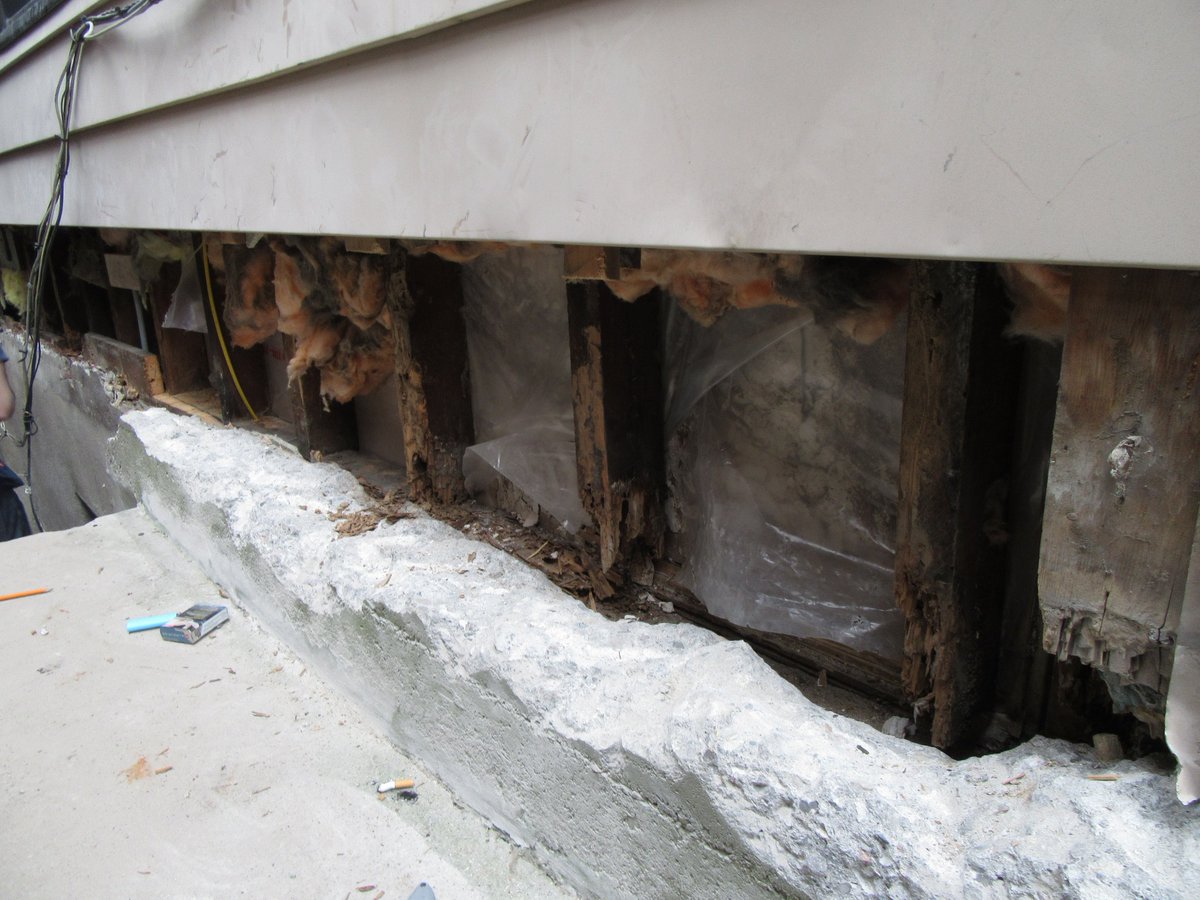 Tignum Design On Twitter Today S Job Site Termite And Rot
