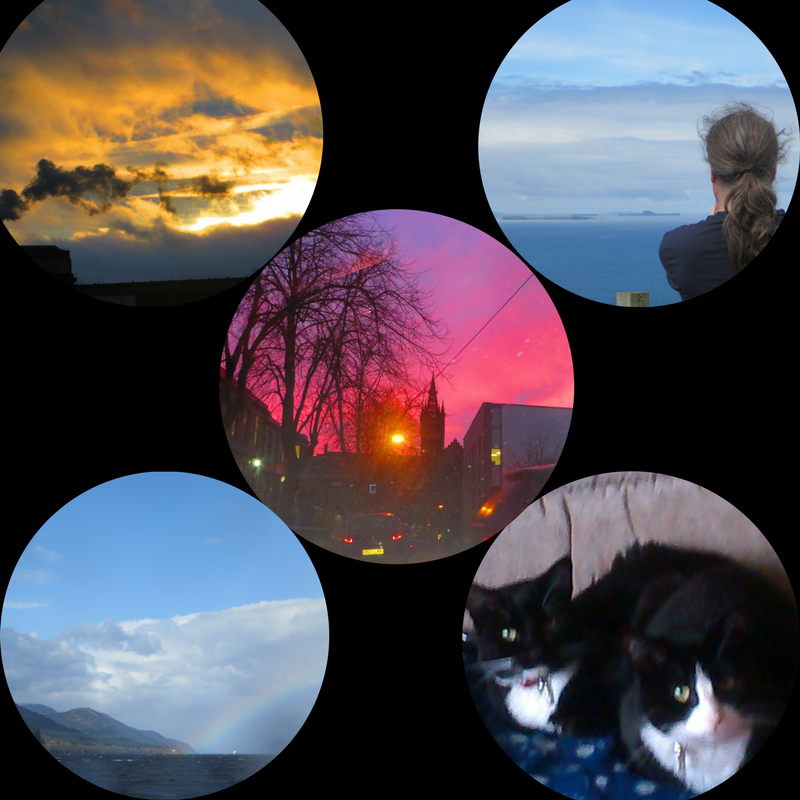 NomadWarMachine's tweet photo. @ds106dc #tdc1940 #ds106 I don't dwell on my worst decisions. My best was to move to Scotland. Beautiful views, cute cats and @niall_barr https://t.co/Reqtru7Faa