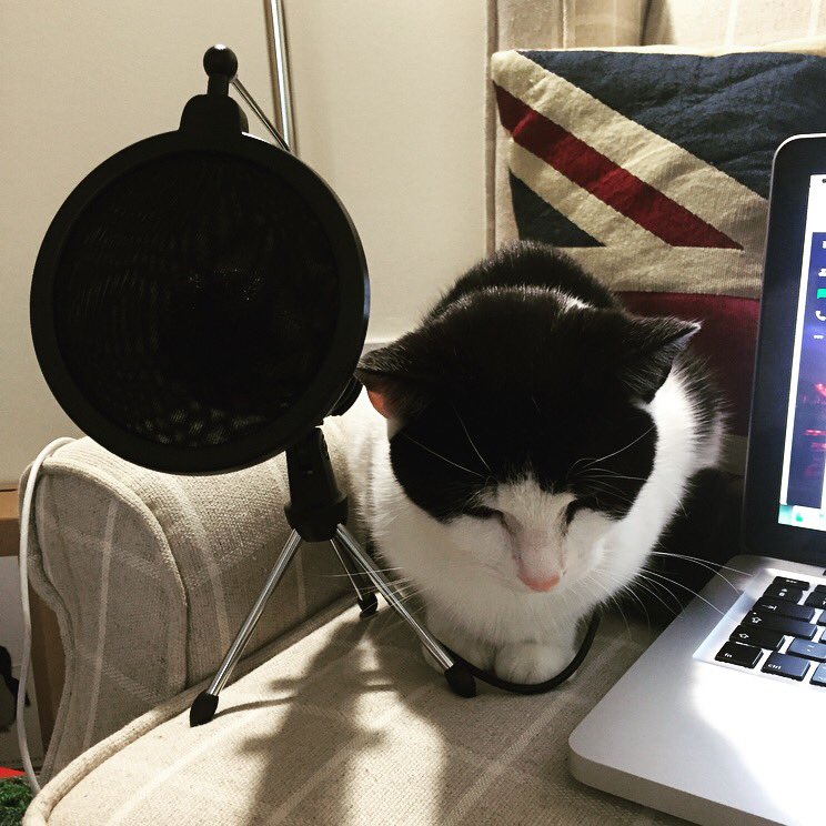 Having fun cutting and mixing our latest episode about dinosaurs with @Protohedgehog, extra help from our newest sound engineer.