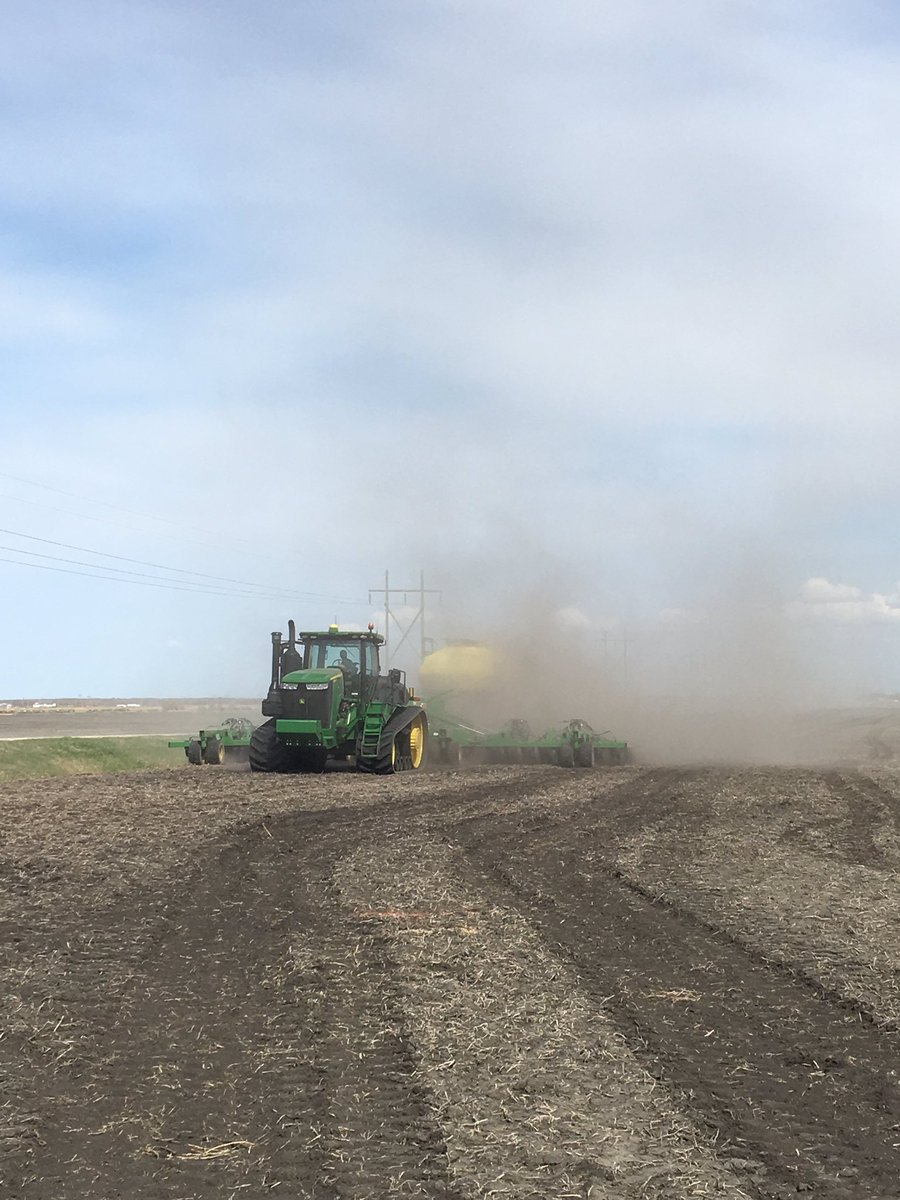 Matthew Kl. tweet media