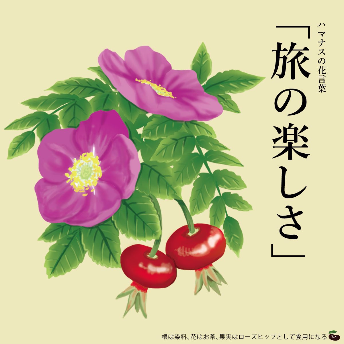 はな言葉 新刊出ました きょう5月3日は 憲法記念日 1947年のこの日に日本国憲法が施行されたことを記念する国民の祝日 ゴールデンウィークはやっぱり旅行ですか 楽しさとリフレッシュを両立できるような楽しい旅を ハマナスの花言葉は 旅の楽し はな言葉 新刊出ました きょう5月3日は 憲法記念日 1947年のこの日に日本国憲法が施行されたことを記念する国民の祝日 ゴールデンウィークはやっぱり旅行ですか 楽しさとリフレッシュを両立できるような楽しい旅を ハマナスの花言葉は 旅の楽し