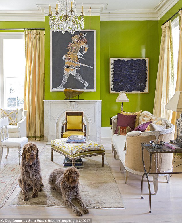 Is your #dog pampered enough to get a #Swarovski encrusted bed? A snip at £12,485, with optional chandelier! 🐶 ow.ly/fbFo30biFOB