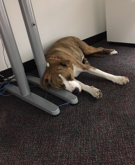 optunderground's tweet image. We're really working hard today 😀 Happy Tuesday, friends!