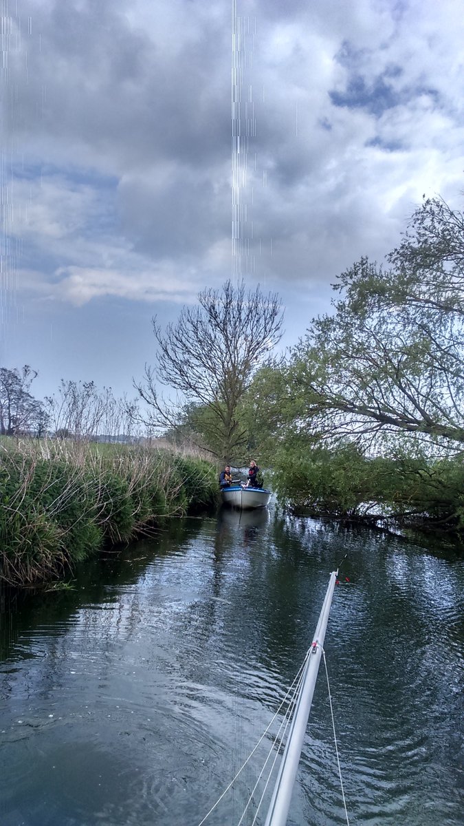 Masts down & squeezing past fallen trees on the narrowing River Waveny to reach Ellingham Mill #Broads @WayfarerSailing