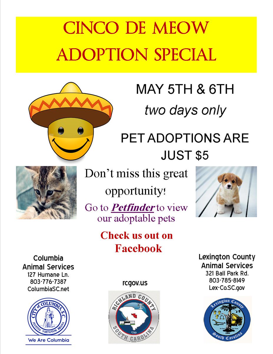 CityofColumbia's tweet photo. Don't miss out on an opportunity to take home a precious pup or an adorable kitten for only $5 on Cinco de Meow! #SCpets https://t.co/znOz5vc2pj