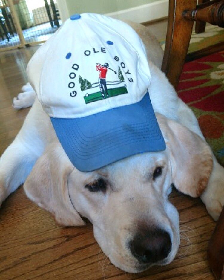 "Happy May," says Duke! 🐕 🙌🏼 

#GoodOleBoys #OriginalHat #DogDay #May