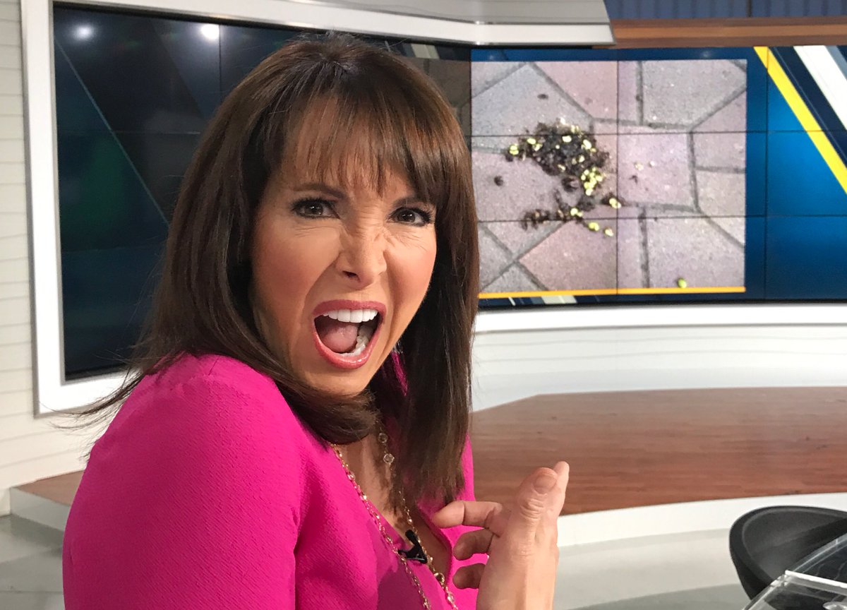 Ellen Leyva (abc7ellen) Twitter