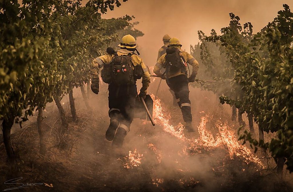 UNDP's tweet photo. #Firefighters set off controlled fires to protect this area, which holds 1/5 of all known plant species in #Africa: https://t.co/JAmKgrDBXF https://t.co/n5NM9rT8NA