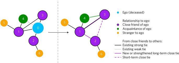 book developments in t cell based