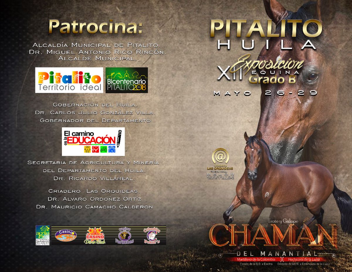 asocala pitalito tweet media