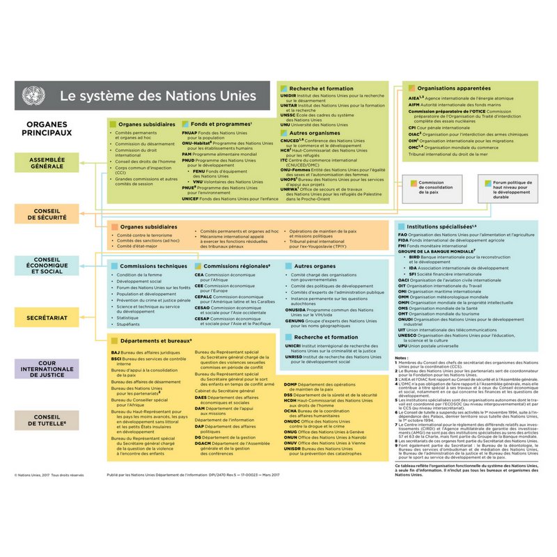 onu organigramme