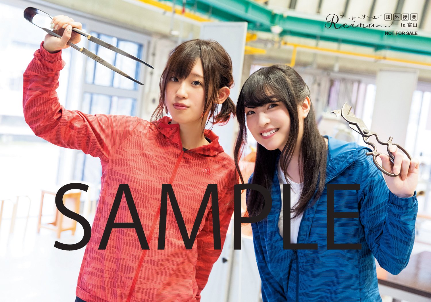 特典あり アトリエReina 課外授業 in富山 DVD 上田麗奈 高橋李依 特典あり アトリエReina 課外授業 in富山 DVD 上田麗奈 高橋李依