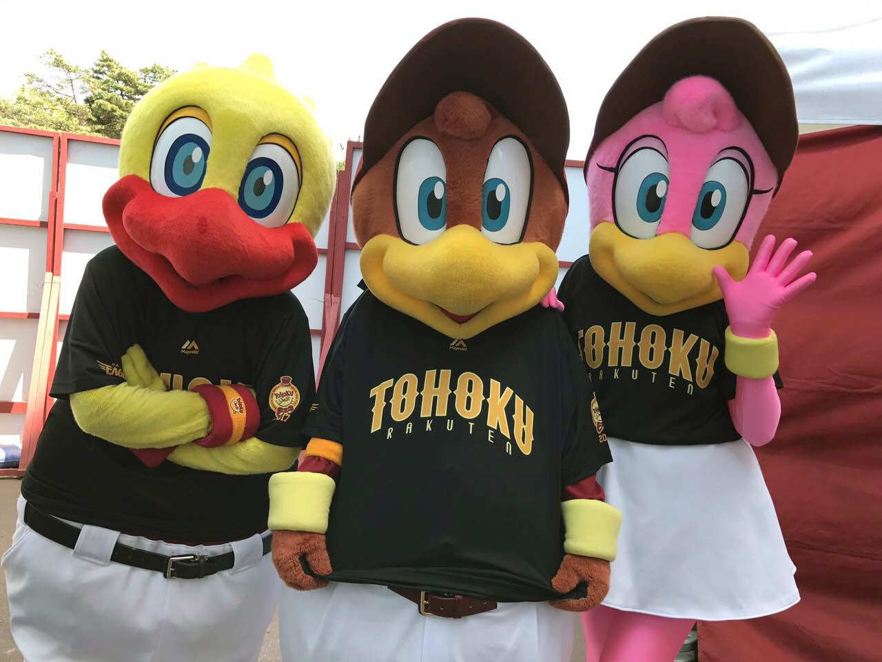 東北楽天ゴールデンイーグルス - ⭐︎ハナ13ok⭐︎ 東北楽天ゴールデンイーグルス