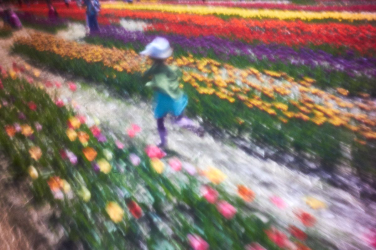 On #wwpd I shot some digital pinholes with the EOS M. We were at #wickedtulips farm in Johnston RI.