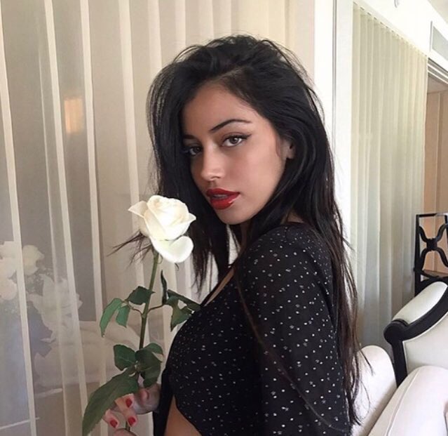 muydolcek's tweet photo. ㅤㅤㅤㅤㅤㅤㅤㅤ
ㅤㅤ
ㅤ❛ She was an intoxicating collection of poems, roses, and stardust. https://t.co/3boeVSNquv