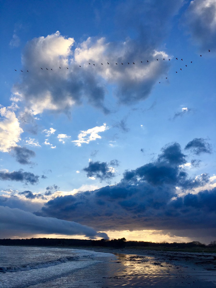 BatesLibrary's tweet photo. #batesshortterm #thewaylifeshouldbe #maineliving https://t.co/2ELlkpLfwl