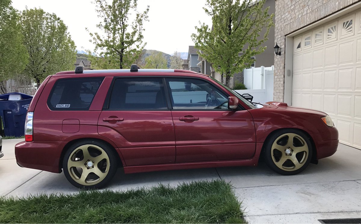 lalanyasmith's tweet image. I guess everyone is doing a Transformation Tuesday so here&apos;s Ruby. 🤤❤️😍 #TransformationTuesday #caredition #mybaby