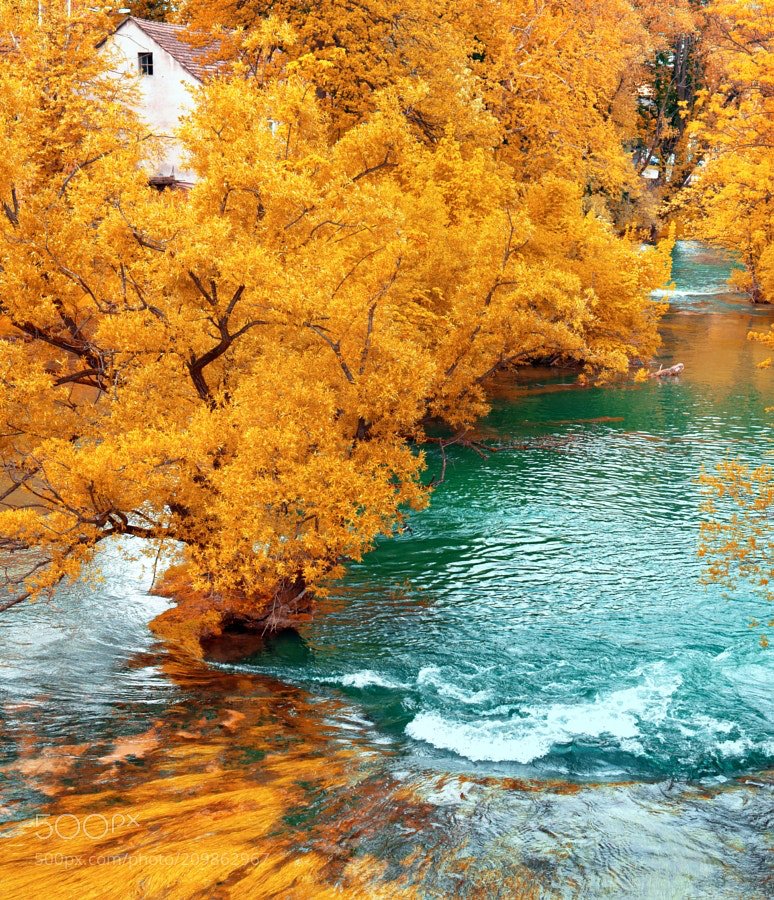 DrKimKhauv's tweet image. 